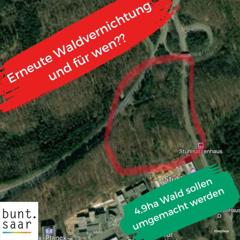Waldrodung am Uni Campus: Einfallslosigkeit verbündet sich mit Unwilligkeit