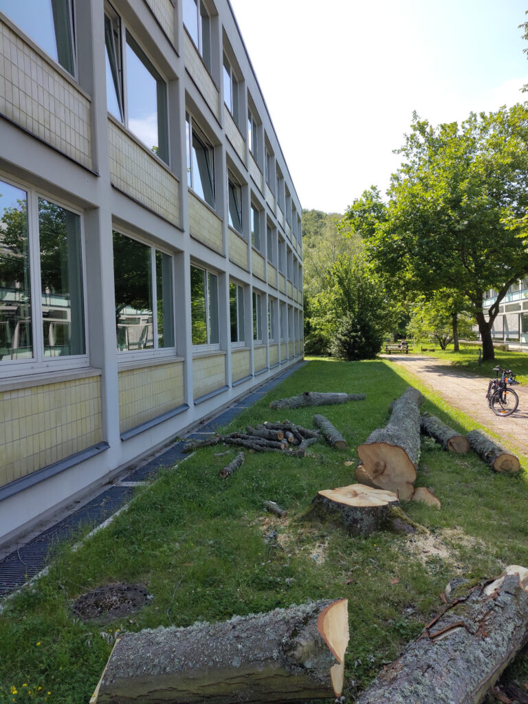 Weiterer Umweltfrevel auf dem Uni-Campus